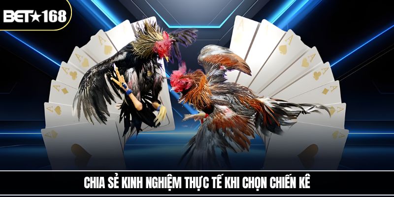 Chia sẻ kinh nghiệm thực tế khi chọn chiến kê