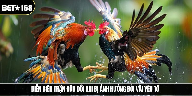 Diễn biến trận đấu đôi khi bị ảnh hưởng bởi vài yếu tố 